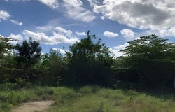 Blvd. Luis Donaldo Colosio 307, 138, 77536 Cancún, Q.R., Mexico, Cancún, Quintana Roo