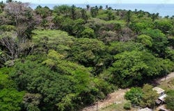 Jalisco, Nayarit