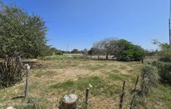 S/N S/N, NAYARIT