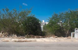 35 B 144, Cholul, Mérida, Yucatán, Merida, Yucatan 97305