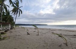 Nayarit, Nayarit