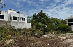 Ramon Lopez Mena, Cancun, Quintana Roo 66580