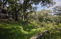 Atlacomulco, Atizapán de Zaragoza, State of Mexico 52937