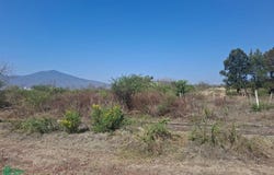 Calle Ixtala 333, San Isidro Itzícuaro Norte, Morelia, Michoacán de Ocampo, Morelia, Michoacan 58337