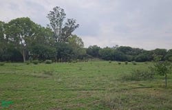 Montecillos s/n, Montecillo de la Milpa, San Miguel de Allende, Guanajuato, San Miguel de Allende, Guanajuato 37896