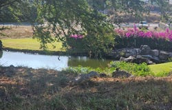 Azalea, Altozano 79, Chiapa, Cuauhtémoc, Colima, Cuauhtemoc, Colima 28530