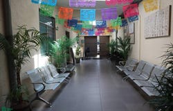 Magdalena 105, Del Valle Norte, Benito Juárez, Ciudad de México, Ciudad de Mexico, Ciudad de Mexico 03103