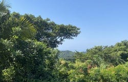 Nayarit, Nayarit
