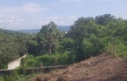 Nayarit, Nayarit