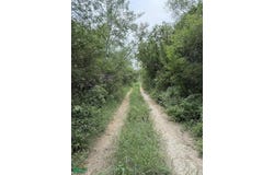 AGOSTADERO DE ANIMAS, Nueva Cadereyta, Cadereyta Jiménez, Nuevo León, Cadereyta Jimenez, Nuevo Leon 67485