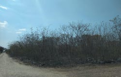 Komchén, Komchén, Yucatan