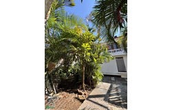 Calle Diamante, esquina con Calle Amatista, Lote 5, Manzana 10, Fraccionamiento Paludismo, 5, 20 de Noviembre, Chilpancingo de los Bravo, Guerrero, Chilpancingo de los Bravo, Guerrero 39001