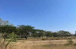 Ex Hacienda la Cañada Calle Susana San Juan Lote 8, La Cañada, Comala, Colima, Comala, Colima 28450