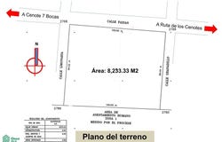 Ruta de los Cenotes, Calle Faisán , Puerto Morelos, Puerto Morelos, Quintana Roo, Puerto Morelos, Quintana Roo 77586
