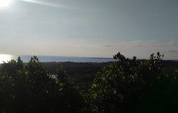 Nayarit, Nayarit