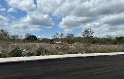 C. 24, Merida, Yucatan