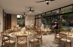 MWMJ+WF, Playa del Carmen, Quintana Roo 77725