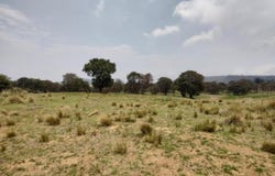 Camino sin nombre, Ayapango, State of Mexico 56760