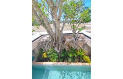 Calle 20, Merida, Yucatan 97303
