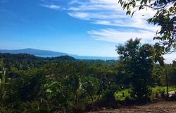 Nayarit, Nayarit