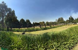 Carretera Federal México - Cuernavaca 123, Tres Marías, Huitzilac, Morelos, Huitzilac, Morelos 62515