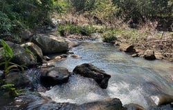 Nayarit, Nayarit