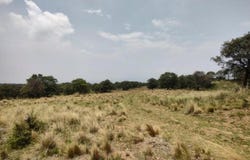 Camino sin nombre, Ayapango, State of Mexico 56760