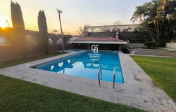 Pelícanos, Cuernavaca, Morelos 62499