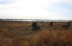 polygon 111, San Carlos, 