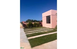 Komunah San Crisanto 97424, San Crisanto, Sinanché, Yucatán, Sinanche, Yucatan 97424