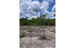Tablaje 31546 31546, San Ignacio, Progreso, Yucatán, Progreso, Yucatan 97334