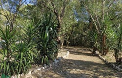 Andador 15a , Gil De Leyva, Montemorelos, Nuevo León, Montemorelos, Nuevo Leon