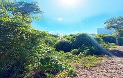 Quintana Roo, Quintana Roo