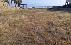 Av. Marsella ., La Misión, Ensenada, Baja California, Ensenada, Baja California 22765