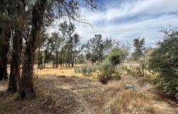 Plazuela 2 de Abril, Chalco, State of Mexico 56647