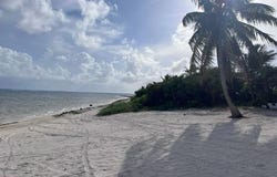 carretera xcalak - Mahahual lote 2880, Xcalak, Othón P. Blanco, Quintana Roo, Othon P Blanco, Quintana Roo 77940