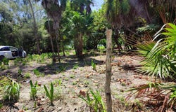 Unnamed Road, Mahahual, Quintana Roo