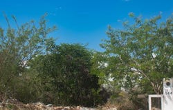 35 B 144, Cholul, Mérida, Yucatán, Merida, Yucatan 97305
