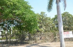 Jalisco, Nayarit