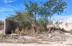 Dzityá, Dzityá, Yucatan