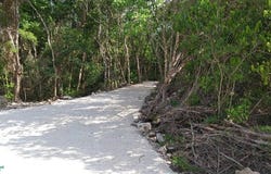 kiliich Lt 012, Francisco May, Felipe Carrillo Puerto, Quintana Roo, Felipe Carrillo Puerto, Quintana Roo 77240