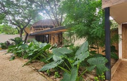 107 C. 38, Merida, Yucatan 97127