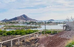 5 PEZ ESPADA, Guaymas, Sonora