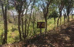 Three Panoramic Lots for Sale in Rancho El Papayal, San Juan Del Sur, Rivas Department
