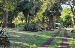 Isla de Ometepe , Ometepe, Rivas, Rivas, Rivas