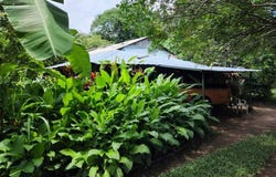 Carretera a Leon , Managua, Managua, Managua, Managua, Managua