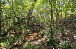 Carretera a Leon , Managua, Managua, Managua, Managua, Managua