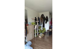 Jacques Veltmanstraat, Amsterdam, North Holland 1065 DZ