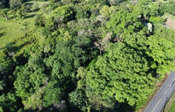 CHIRIQUÍ, DOLEGA, TINAJAS, Dolega, Chiriqui