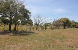 LLANO SÁNCHEZ, EL CHIRÚ unit: Terreno, Antón, Coclé